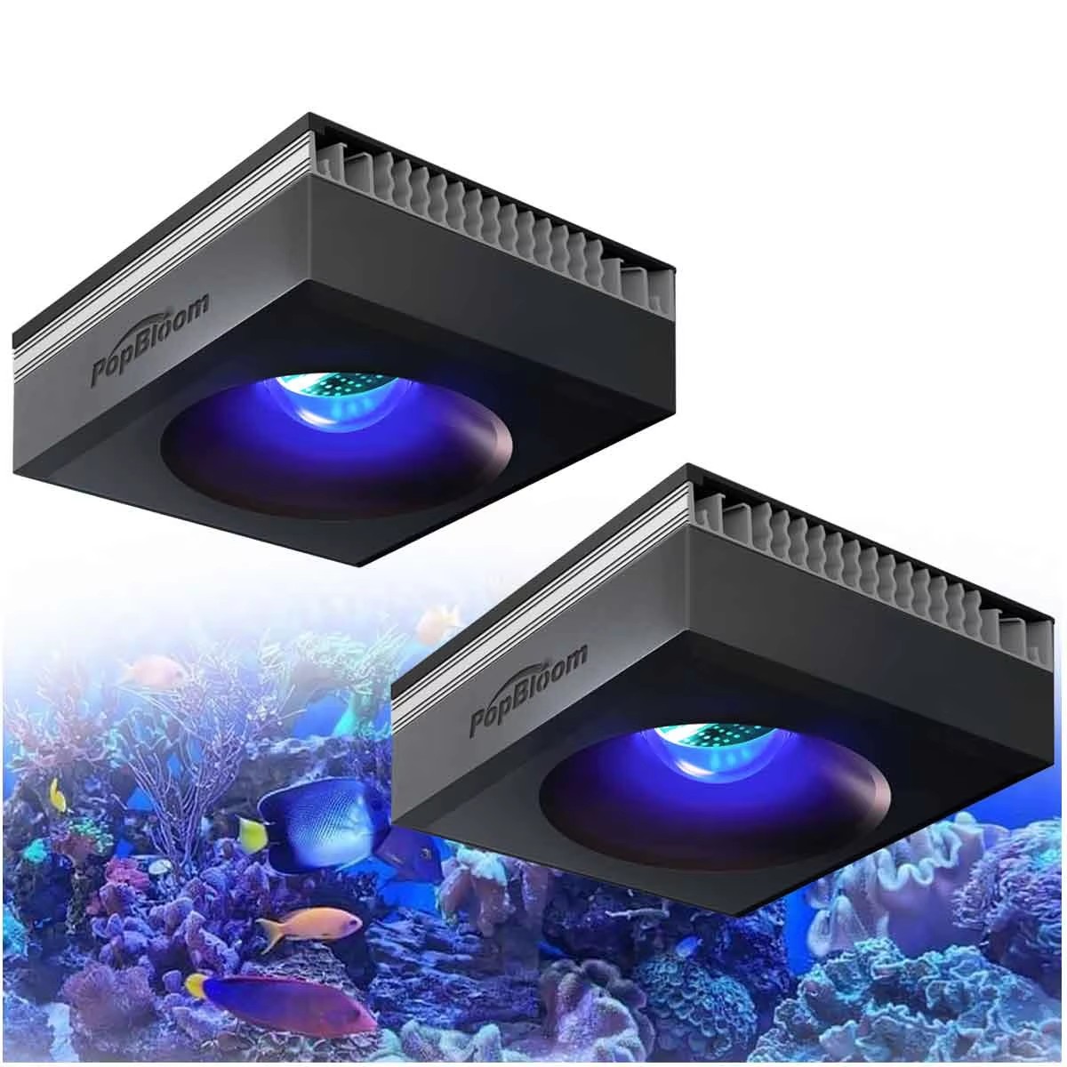 Aquarium Marine Fishes - Lámpara para Acuario de Arrecife PopBloom