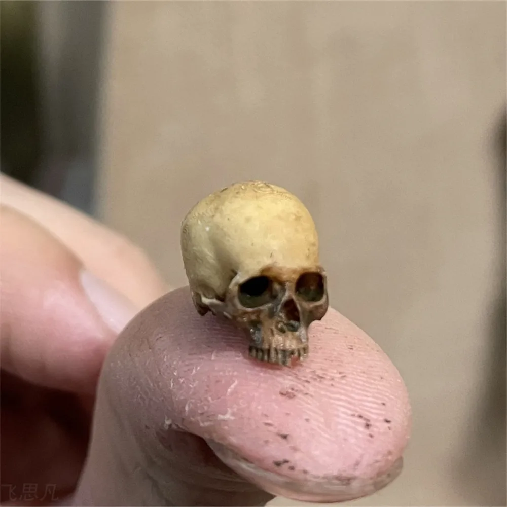 Marine Aquarium Mini - Mini calavera, modelo en miniatura de