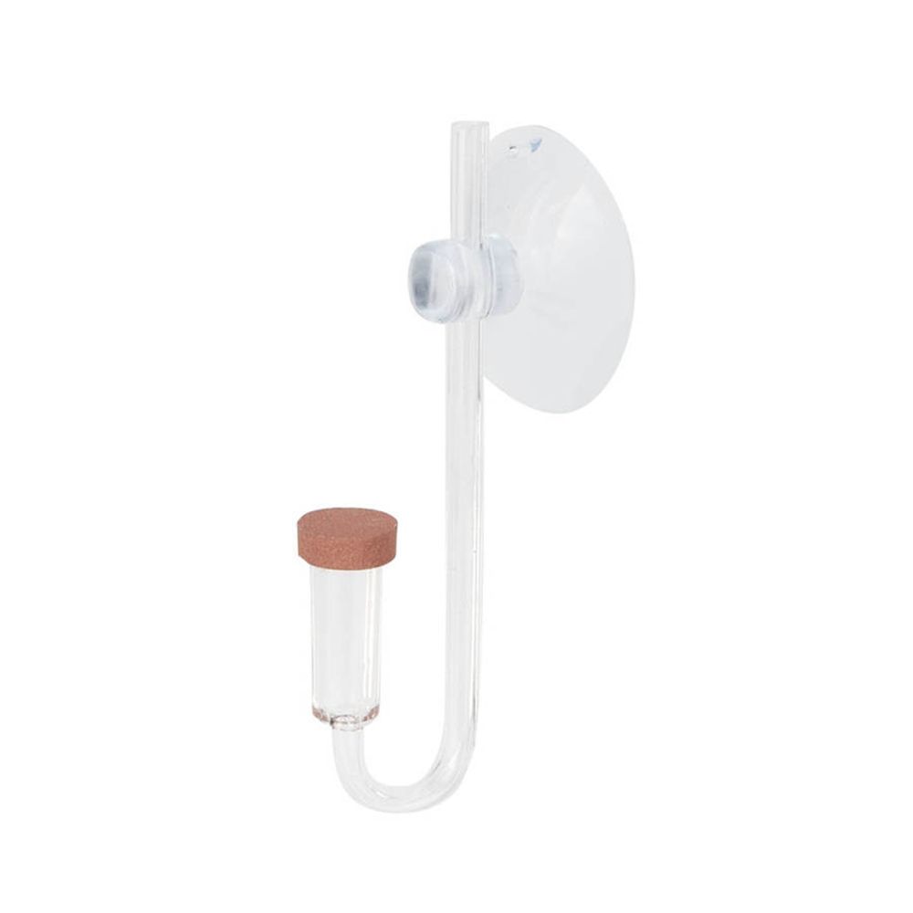 Marine Aquarium Mini - Mini pecera acrílica, planta viva, atomizador