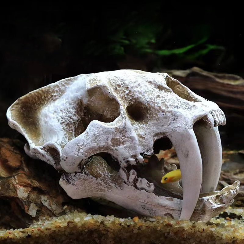 Aquarium Innovative Marine - Modelo de calavera de dinosaurio, estatuilla