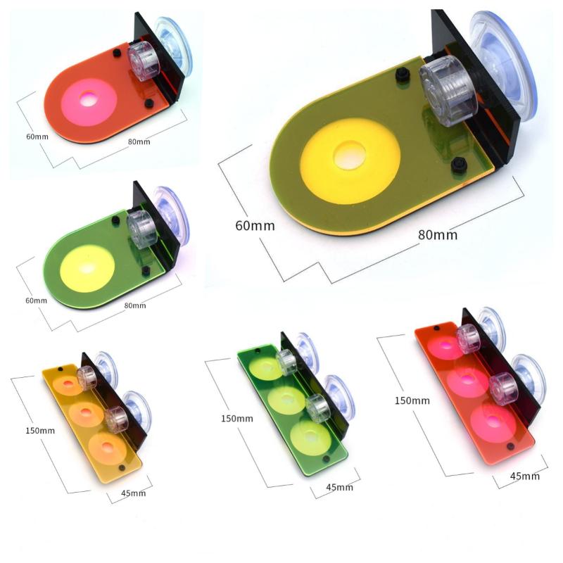 Soporte de Acrílico para Fraga - Aquarium Marine Fishes reseña y precio