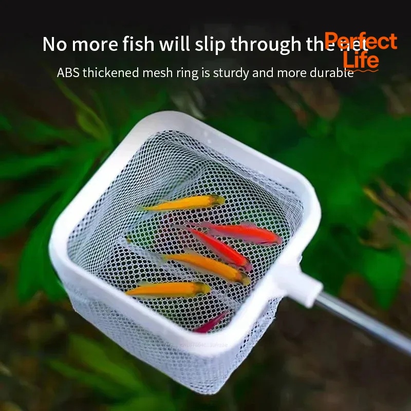 Red de pesca de acero inoxidab - Aquarium Marineland reseña y precio