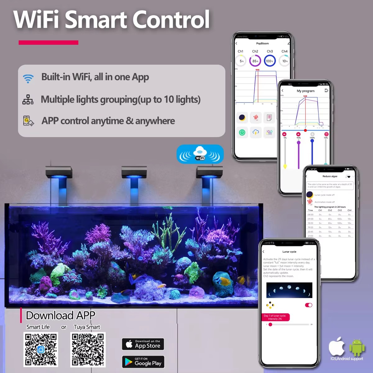 Lámpara para Acuario de Arreci - Aquarium Marine Fishes reseña y precio