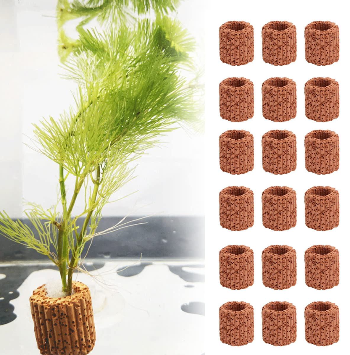 Anillo fijo para plantas acuát - Aquarium Innovative Marine reseña y precio