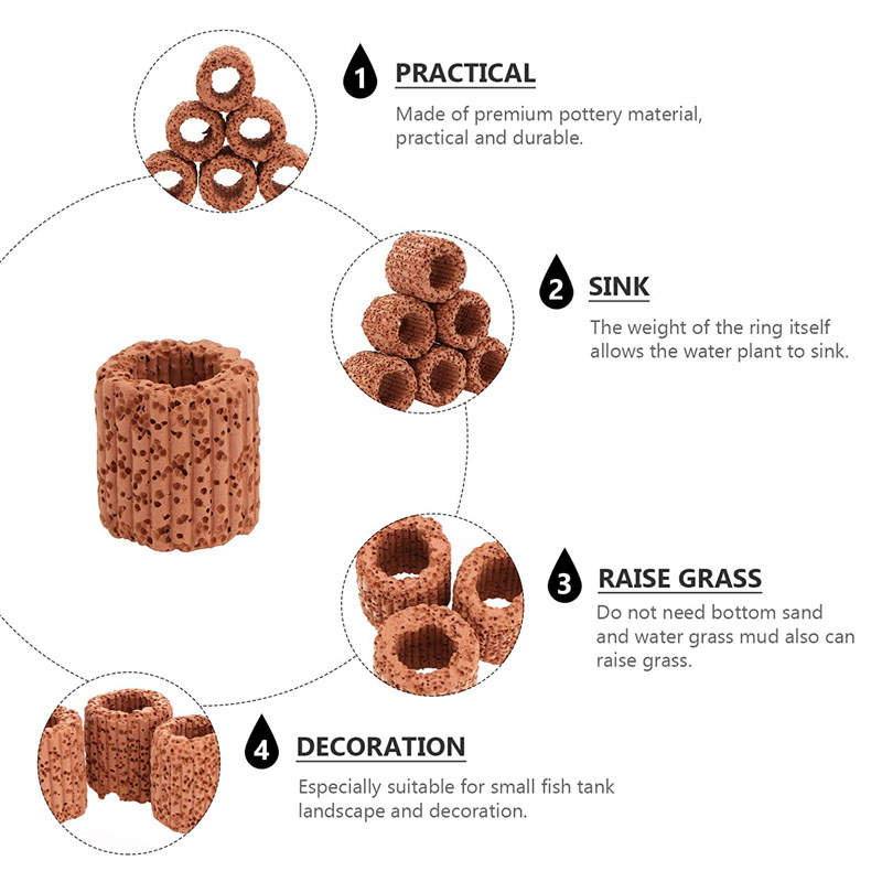 Anillo fijo para plantas acuát - Aquarium Innovative Marine reseña y precio