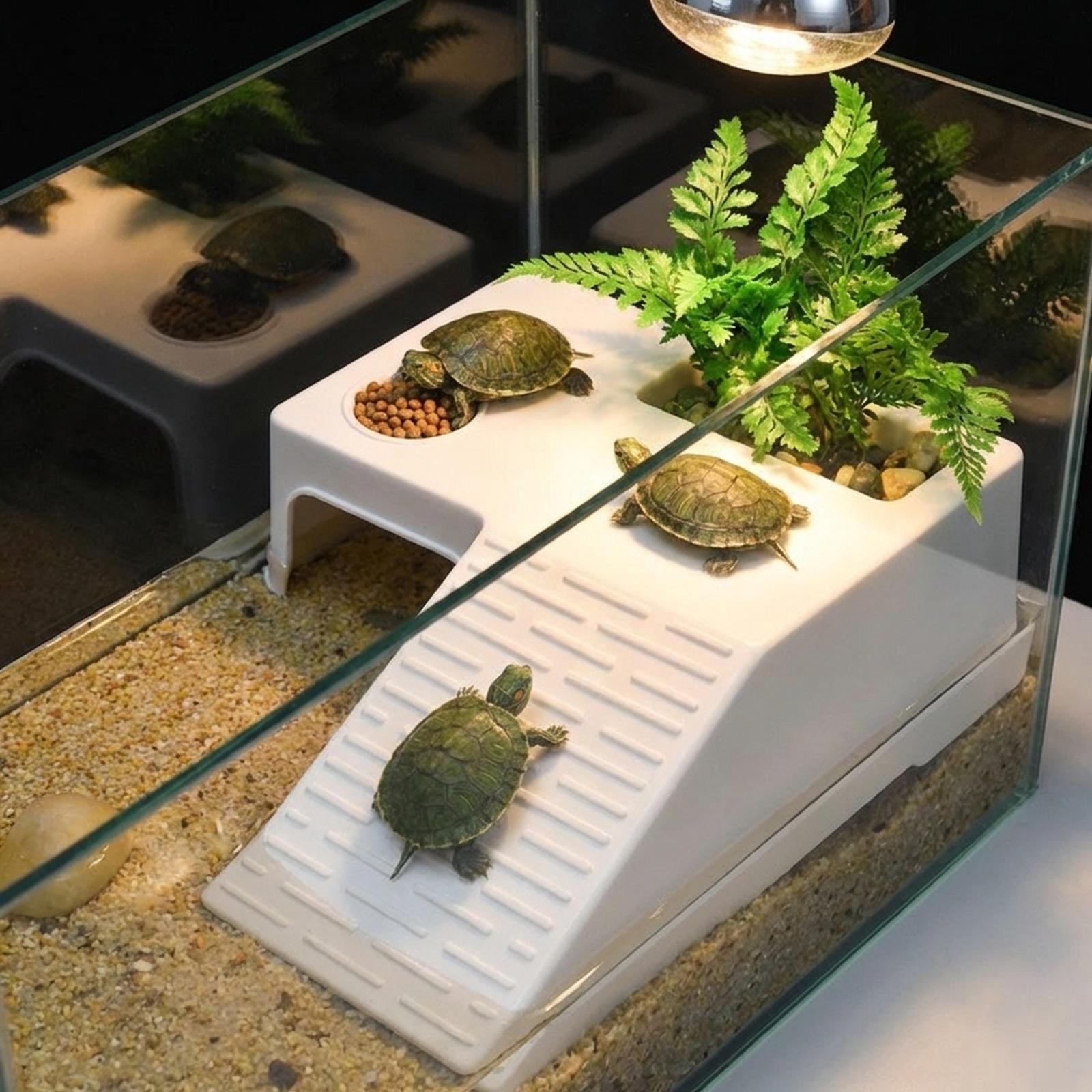 Plataforma de Descanso para To - Aquarium Innovative Marine reseña y precio