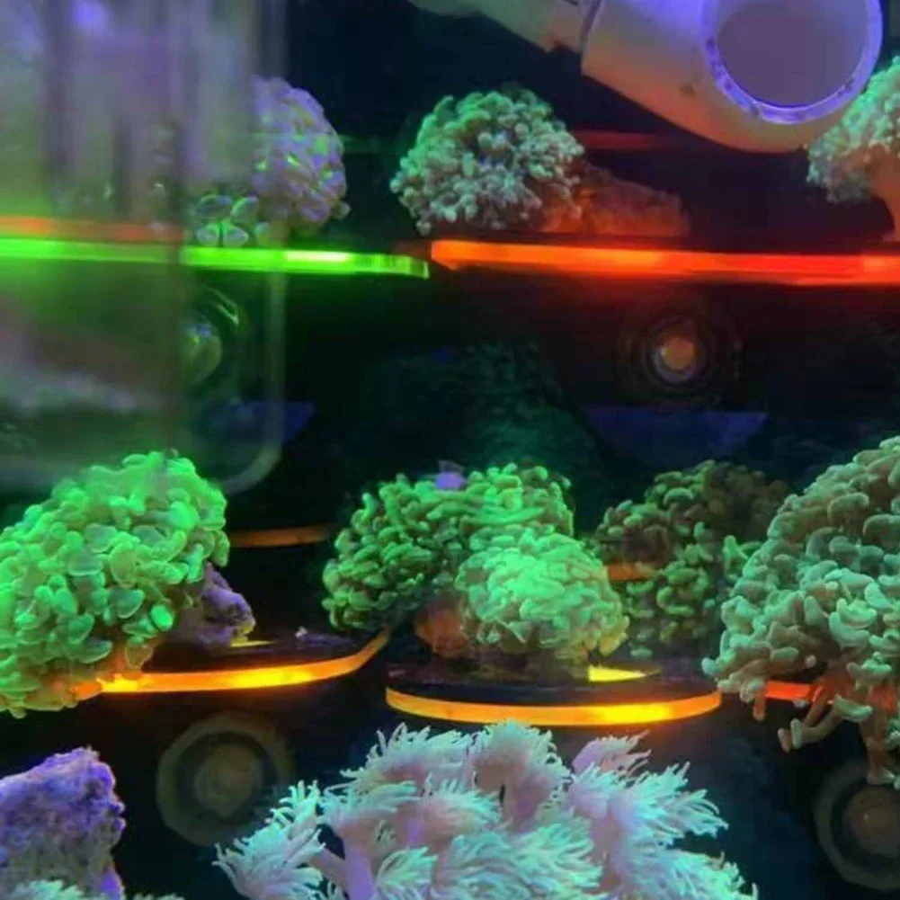 Soporte de Coral fluorescente  - Aquarium Marine Fishes reseña y precio