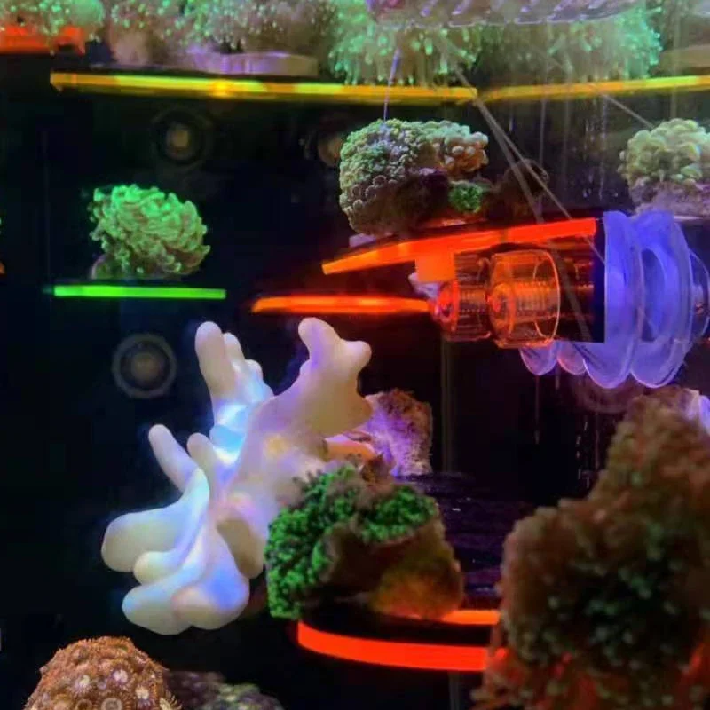 Soporte de Coral fluorescente  - Aquarium Marine Fishes reseña y precio