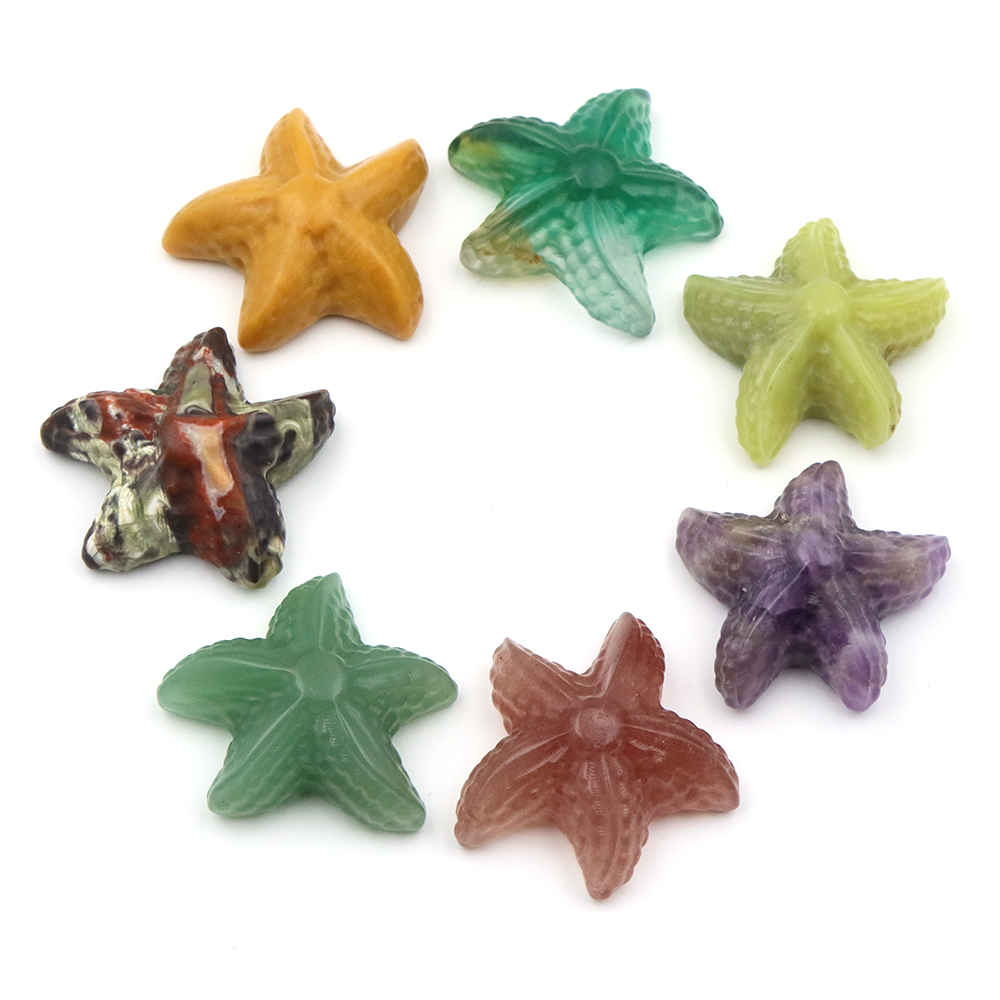 Estatua con forma de estrella  - Aquarium Marine Fishes reseña y precio