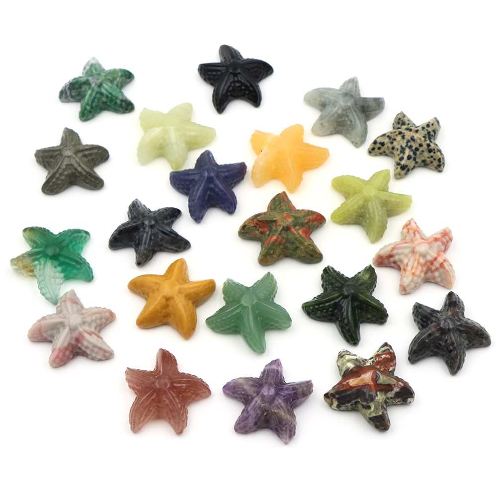 Estatua con forma de estrella  - Aquarium Marine Fishes reseña y precio