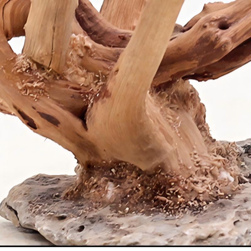 Adornos de madera para paisaji - Aquarium Innovative Marine reseña y precio