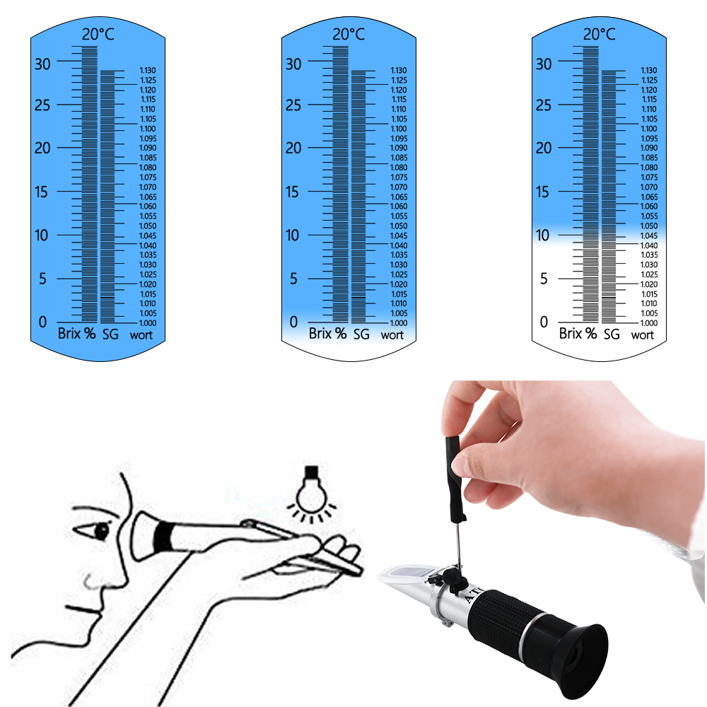 Refractómetro de vino de mosto - Marine Aquarium Refractometer reseña y precio