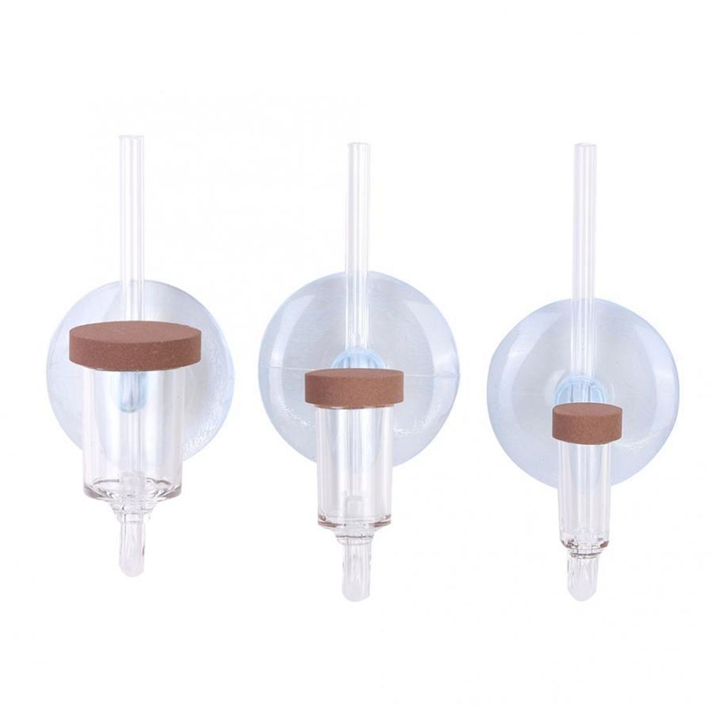 Mini pecera acrílica, planta v - Marine Aquarium Mini reseña y precio