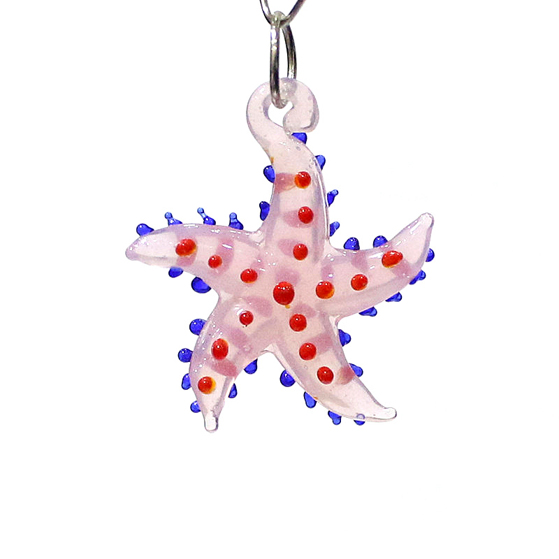Lindo animal marino estrella d - Marine Aquarium Mini reseña y precio