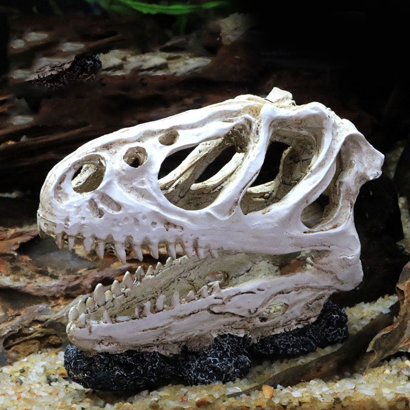 Modelo de calavera de dinosaur - Aquarium Innovative Marine reseña y precio
