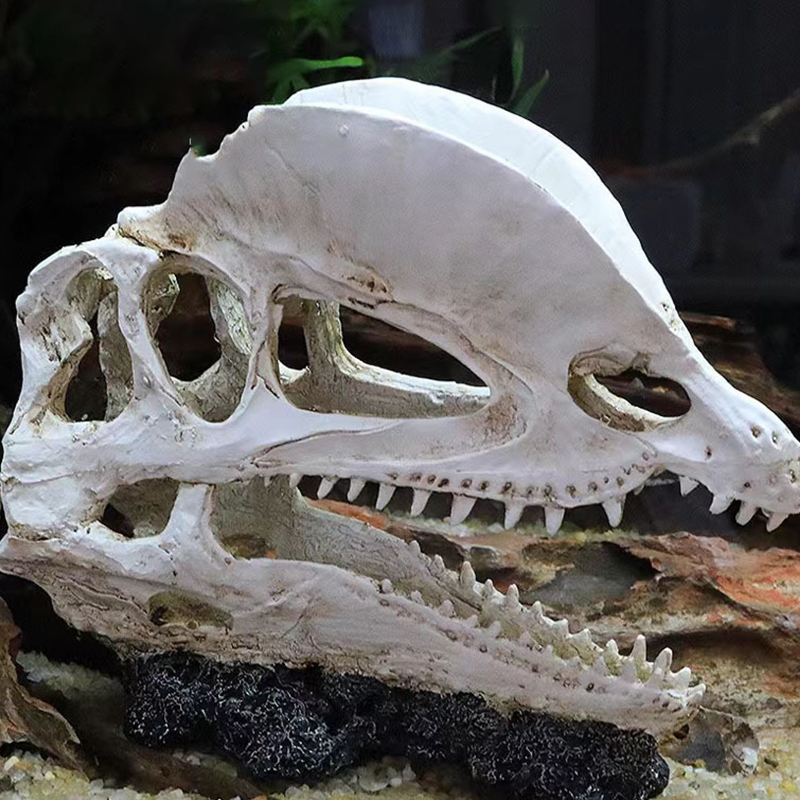 Modelo de calavera de dinosaur - Aquarium Innovative Marine reseña y precio