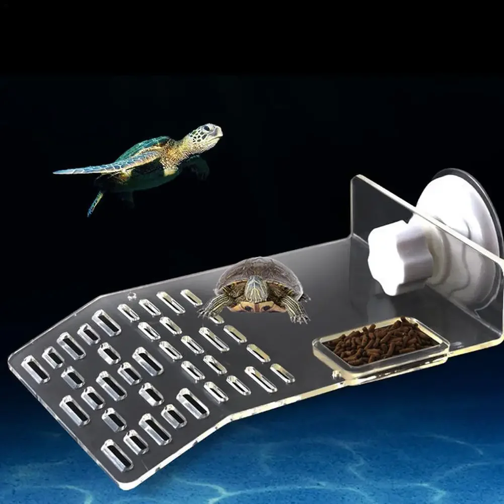 Plataforma de Descanso para To - Aquarium Marineland reseña y precio