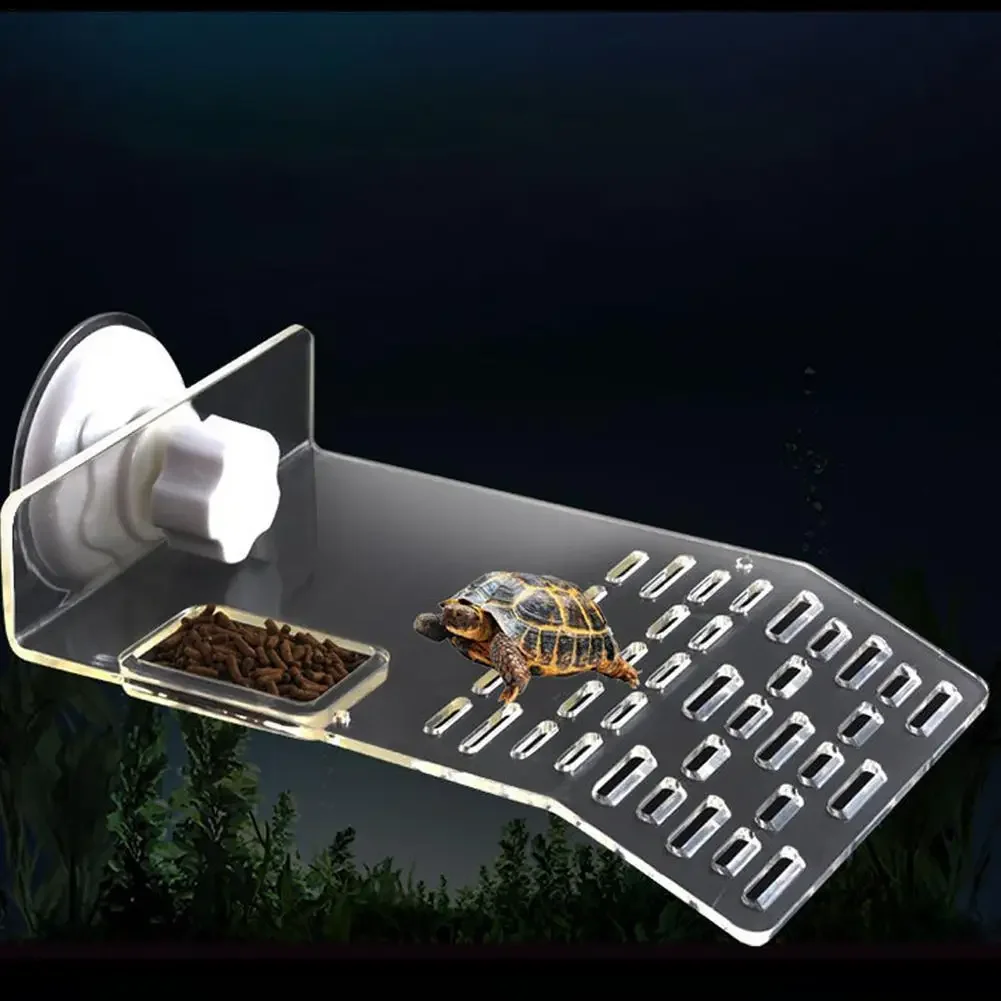 Plataforma de Descanso para To - Aquarium Marineland reseña y precio