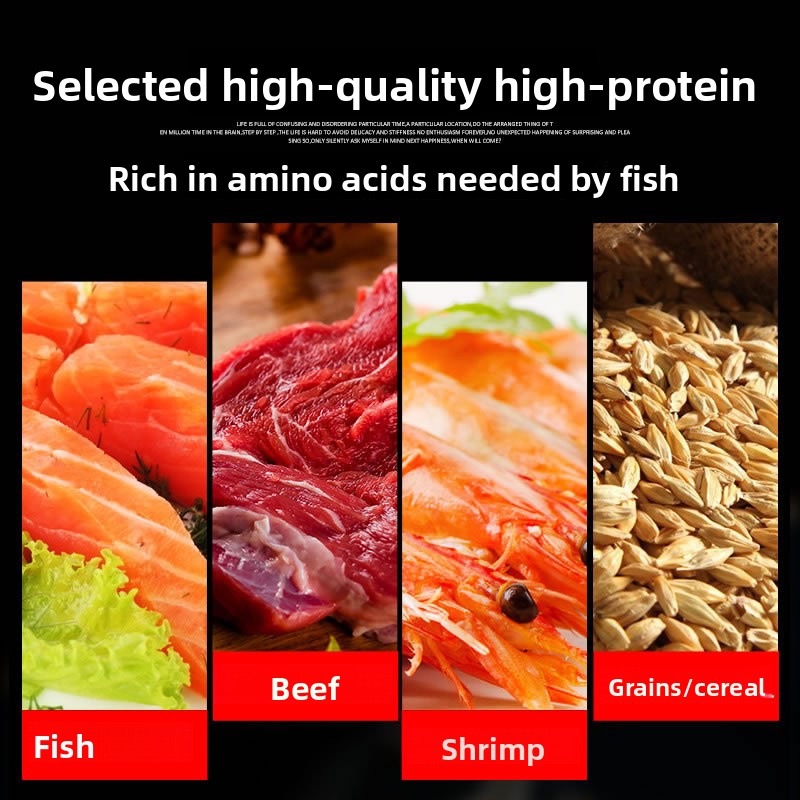 Alimento para Peces Ornamental - Marine Aquarium Hardscape reseña y precio