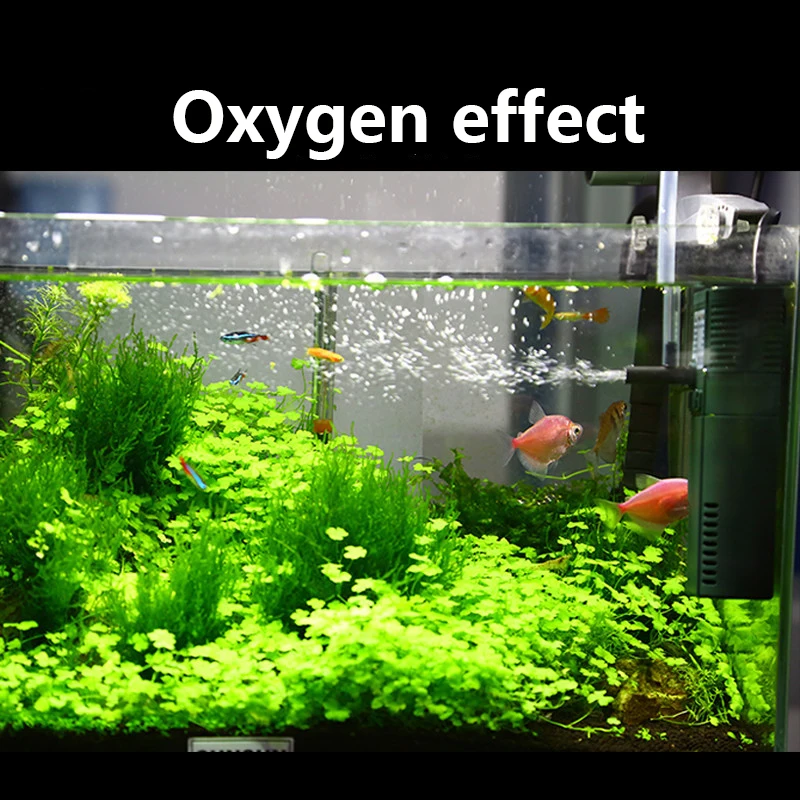 SUNSUN-bomba sumergible de oxí - Marine Aquarium Hardscape reseña y precio